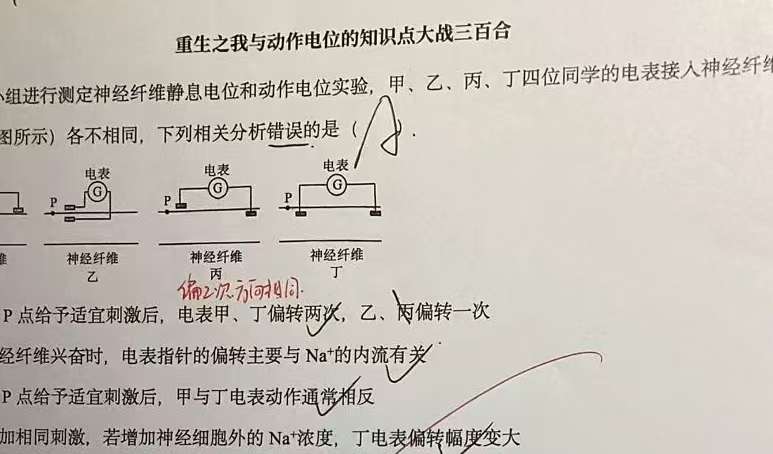重生之我与动作电位大战三百合