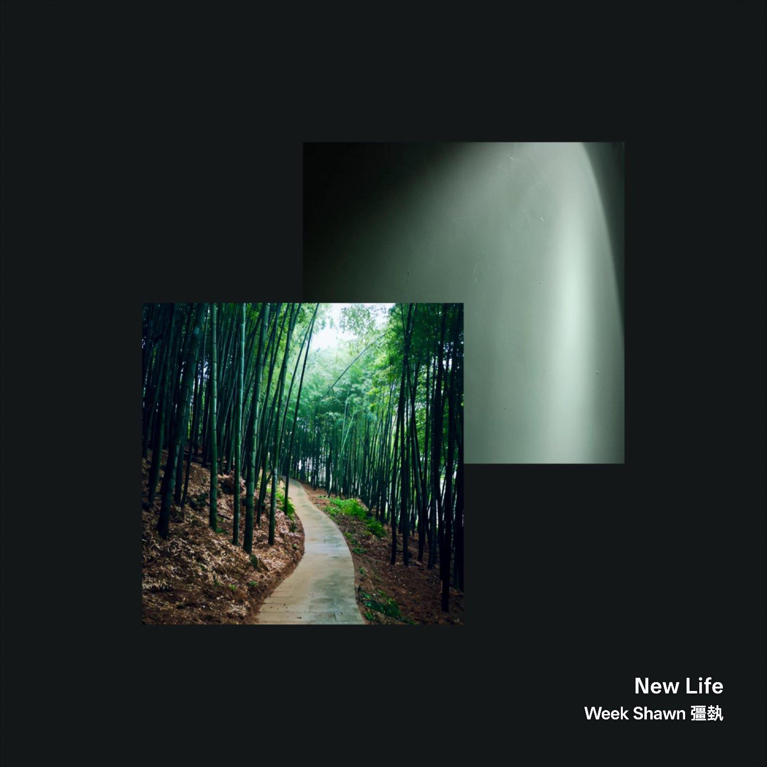 New Life